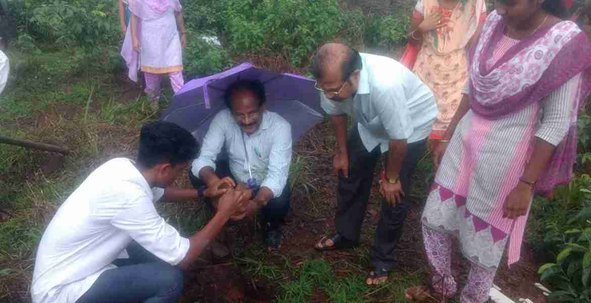 മടിക്കൈ മോഡല്‍ കോളേജ്  എന്‍എസ്എസ് യൂണിറ്റിന്റെ ആഭിമുഖ്യത്തില്‍ സംഘടിപ്പിച്ച പരിസ്ഥിതിദിനാഘോഷം   പ്രിന്‍സിപ്പല്‍  പ്രൊഫ. വി.ഗോപിനാഥന്‍  തൈ നട്ടുകൊണ്ട് ഉദ്ഘാടനം ചെയ്യുന്നു.