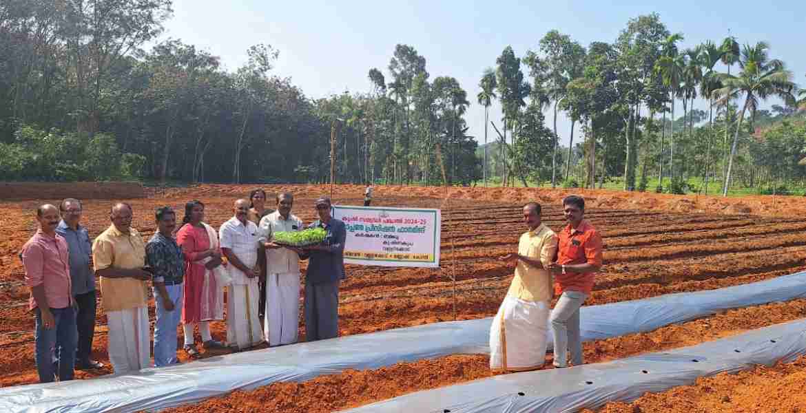 കൃഷിസമൃദ്ധി പദ്ധതിയുടെ ഭാഗമായി ഓപ്പണ്‍ പ്രിസിഷന്‍ ഫാംമിങ്ങിന്റെ ഉദ്ഘാടനം വള്ളിക്കോട് പഞ്ചായത്ത് പ്രസിഡന്റ് ആര്‍ മോഹനന്‍ നായര്‍ നിര്‍വഹിക്കുന്നു