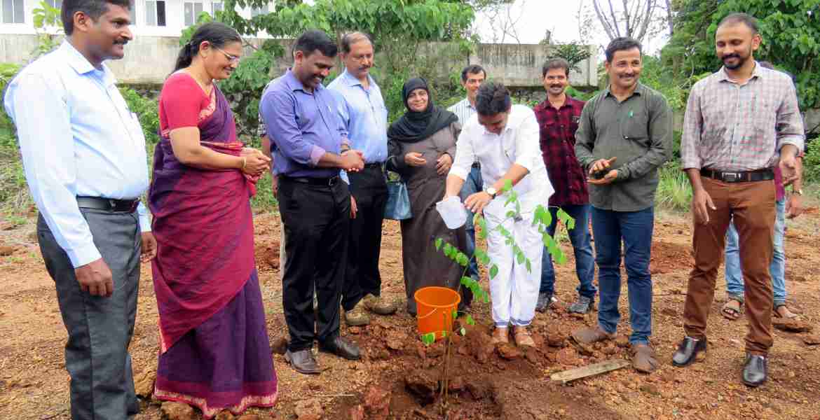 കാസര്‍കോട് ഗവ. കോളേജില്‍ സംഘടിപ്പിച്ച ജില്ലാതലപരിസ്ഥിതി ദിനാഘോഷത്തിന്റെ ഭാഗമായി ജില്ലാ പഞ്ചായത്ത് പ്രസിഡന്റ് എജിസി ബഷീര്‍ വൃക്ഷത്തൈ നടുന്നു.  