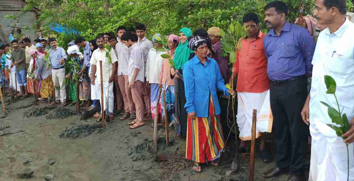 ജില്ലാ ഭരണകൂടത്തിന്റെയും 'ജീവനം' നീലേശ്വരത്തിന്റെയും സംയുക്ത ആഭിമുഖ്യത്തില്‍ ഓരി കായലോരത്ത് കണ്ടല്‍ച്ചെടി വച്ചു പിടിപ്പിക്കുന്ന പദ്ധതിക്ക് ജില്ലാ കളക്ടര്‍ ജീവന്‍ബാബുവിന്റെ നേതൃത്വത്തില്‍ തുടക്കംകുറിച്ചപ്പോള്‍.